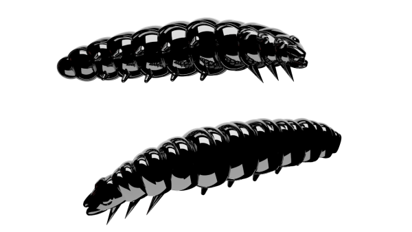 LIBRA LURES LARVA 35 mm Cheese, 12 Stück, 040, Black